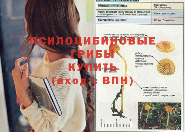 спайс Алексин